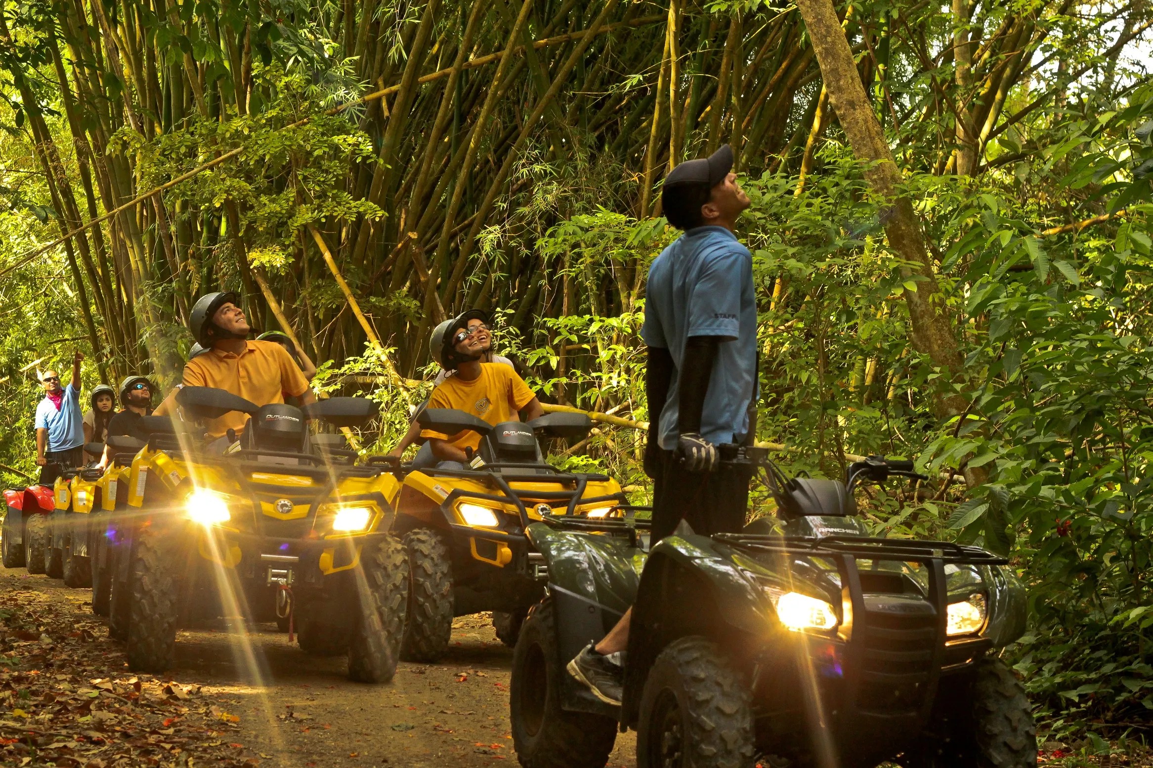 Group riding ATVs through a lush green forest trail.