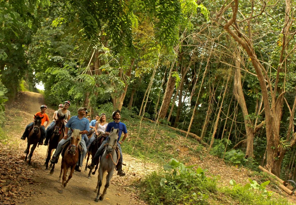 Group of people riding horses on a forest trail.