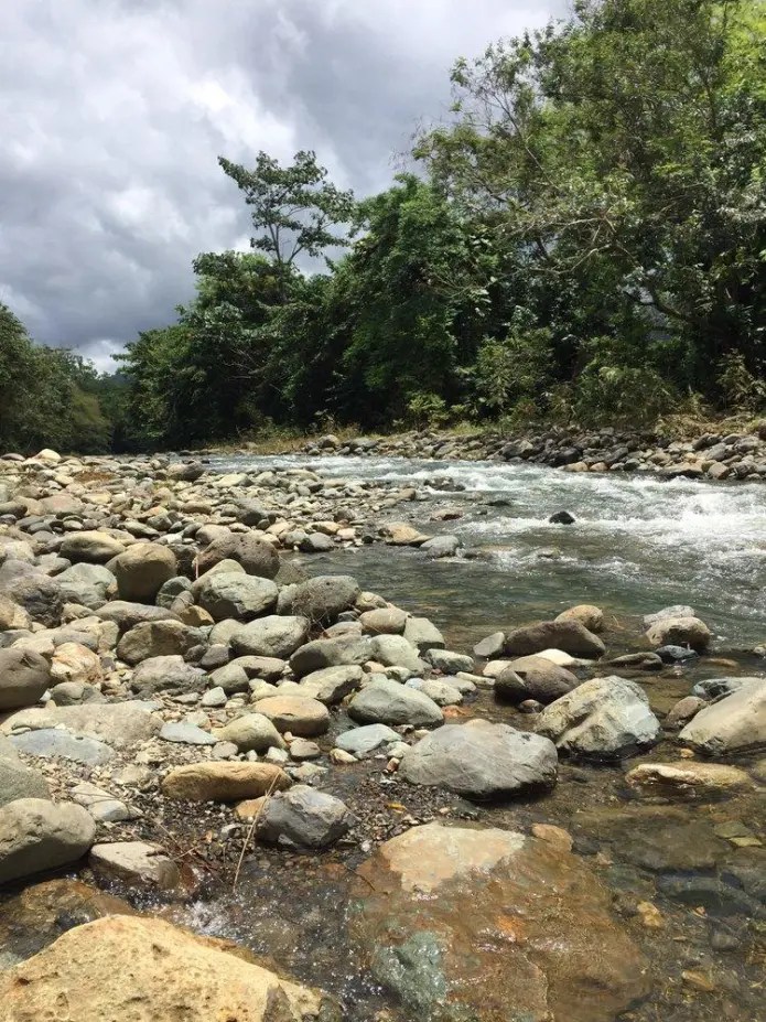 Rocky riverbank with flowing water and lush green trees under a cloudy sky.