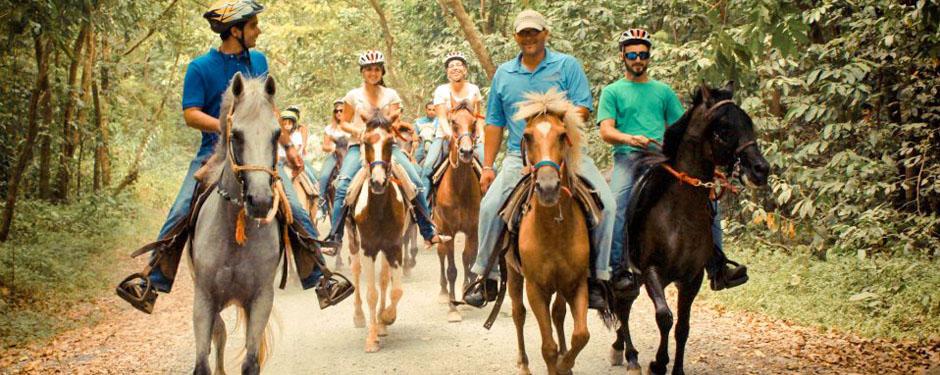 Group of people riding horses on a forest path, wearing casual clothes and helmets.