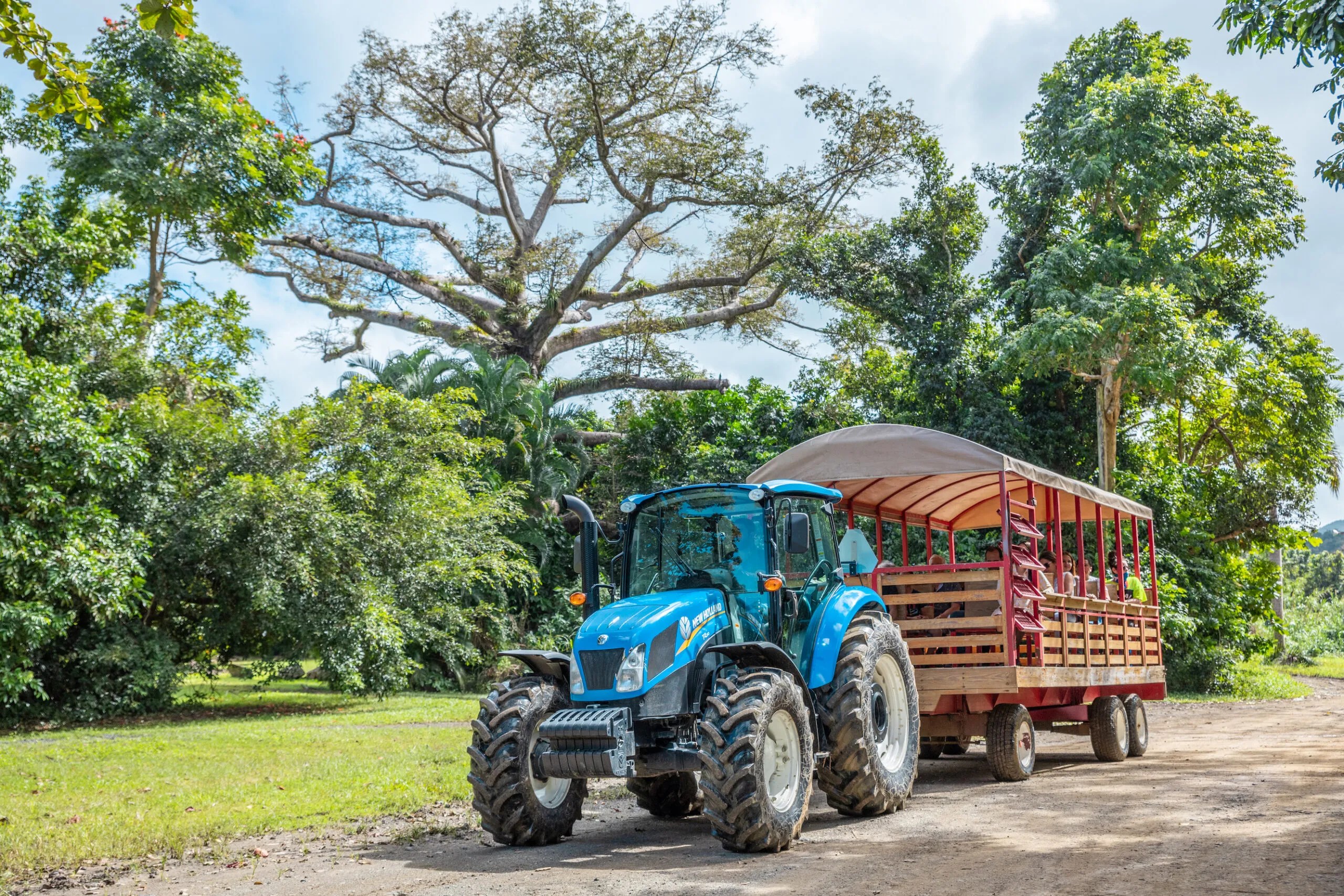 Blue tractor pulling a covered wagon on a dirt road, surrounded by lush green trees.