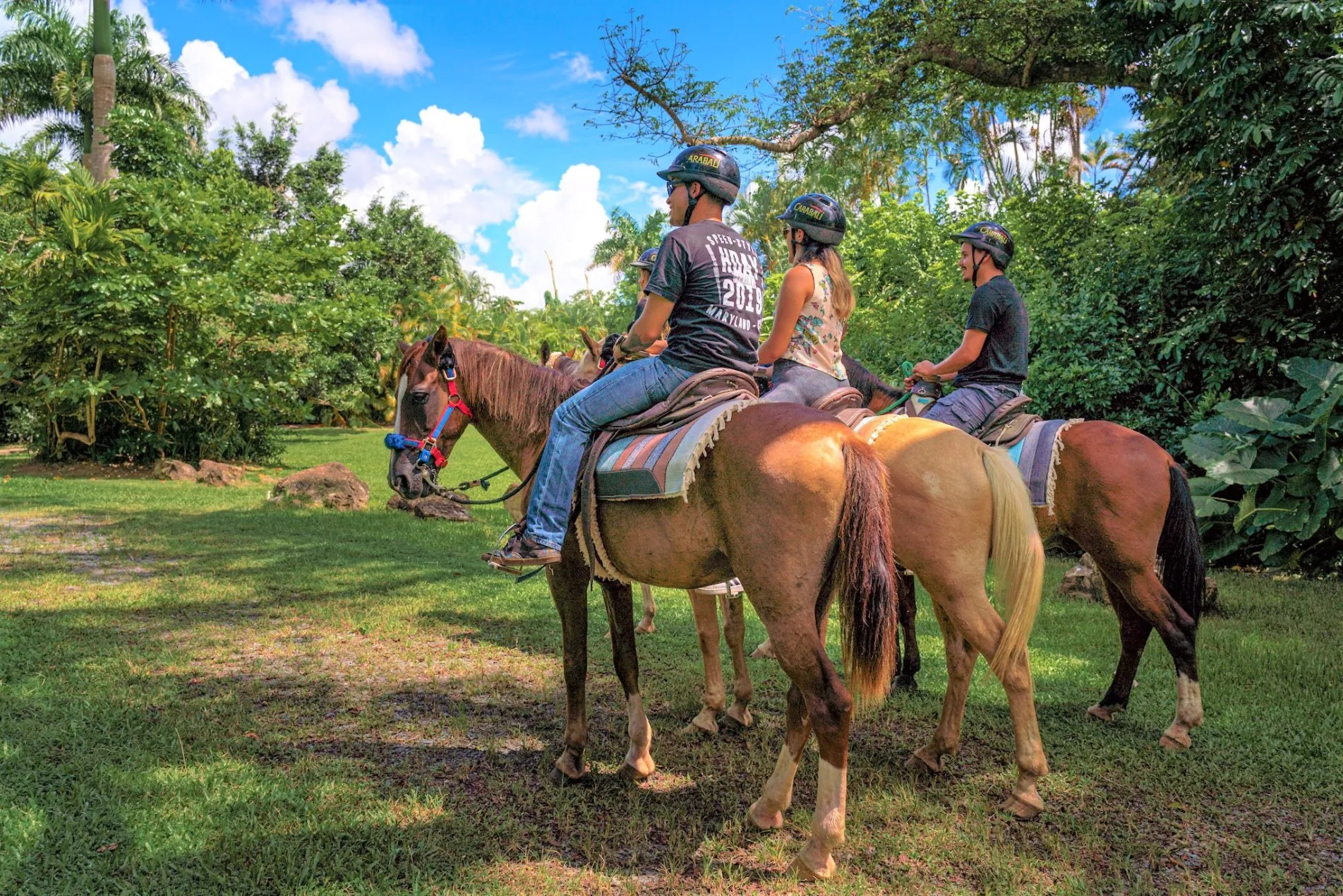 Three people on horses in a lush, green landscape under a blue sky with clouds.