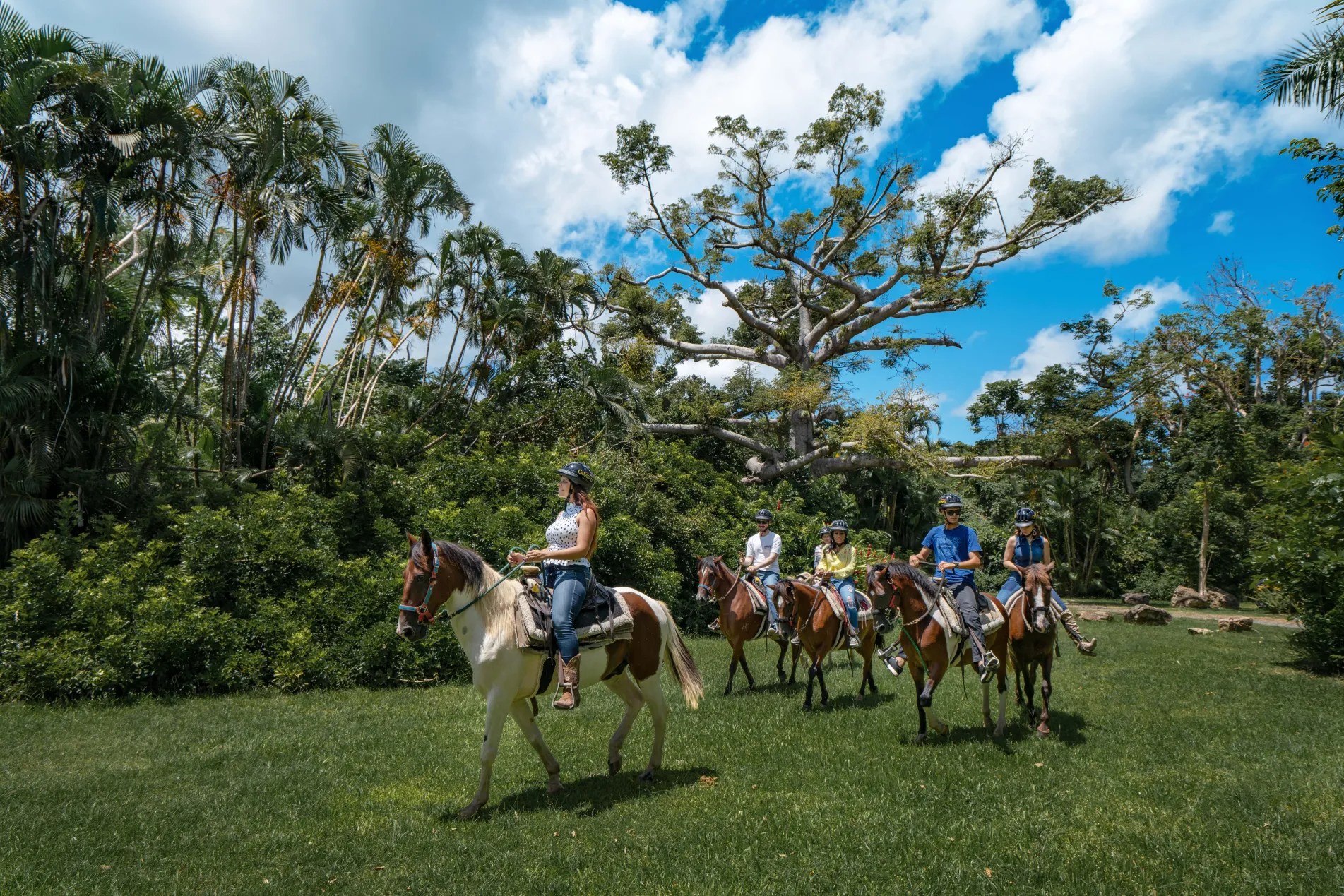 Group of people horseback riding on a grassy field with trees and a cloudy blue sky.