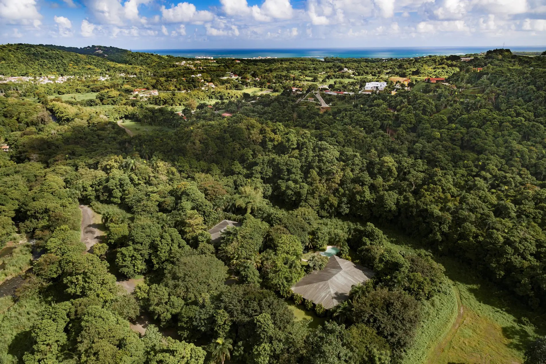Aerial view of a forested landscape with scattered houses and ocean in the distance.