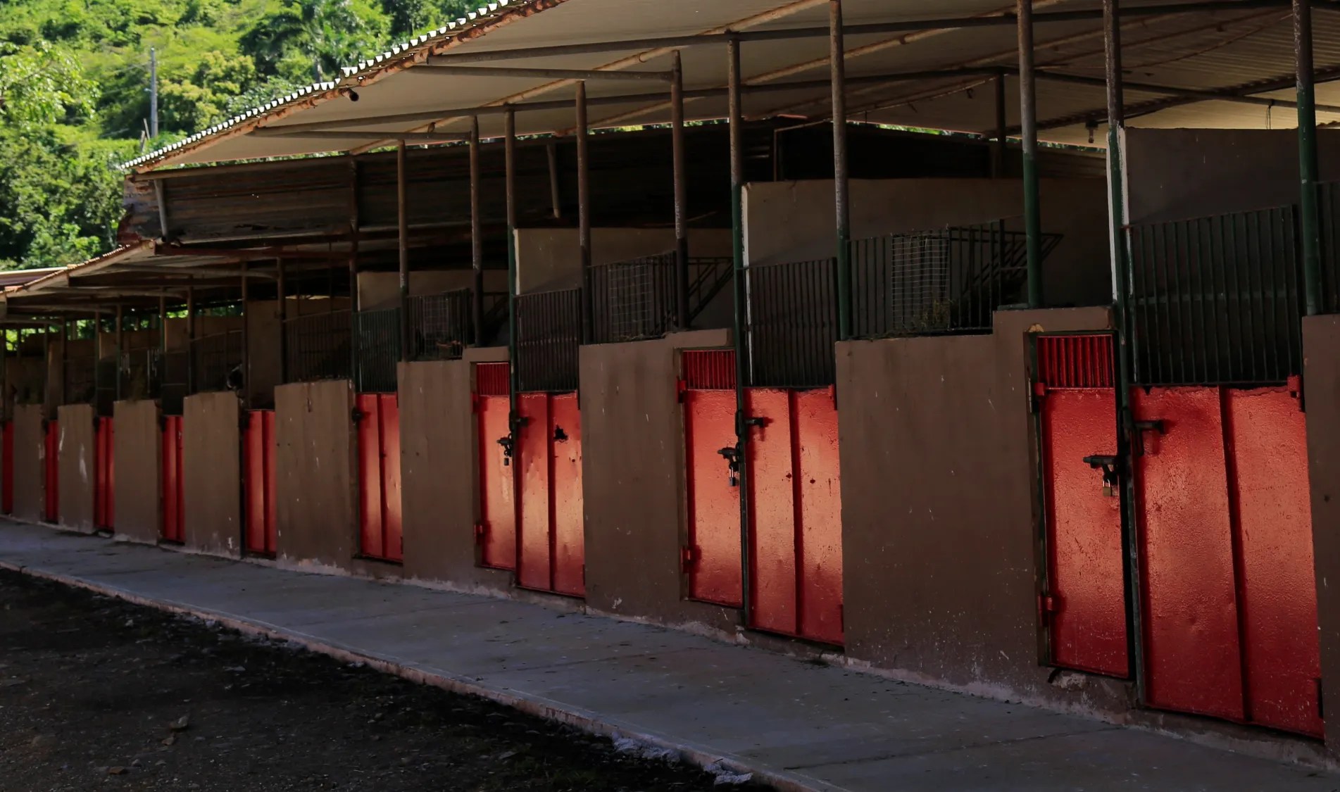 Row of horse stables with red doors and open roofs under sunlight.