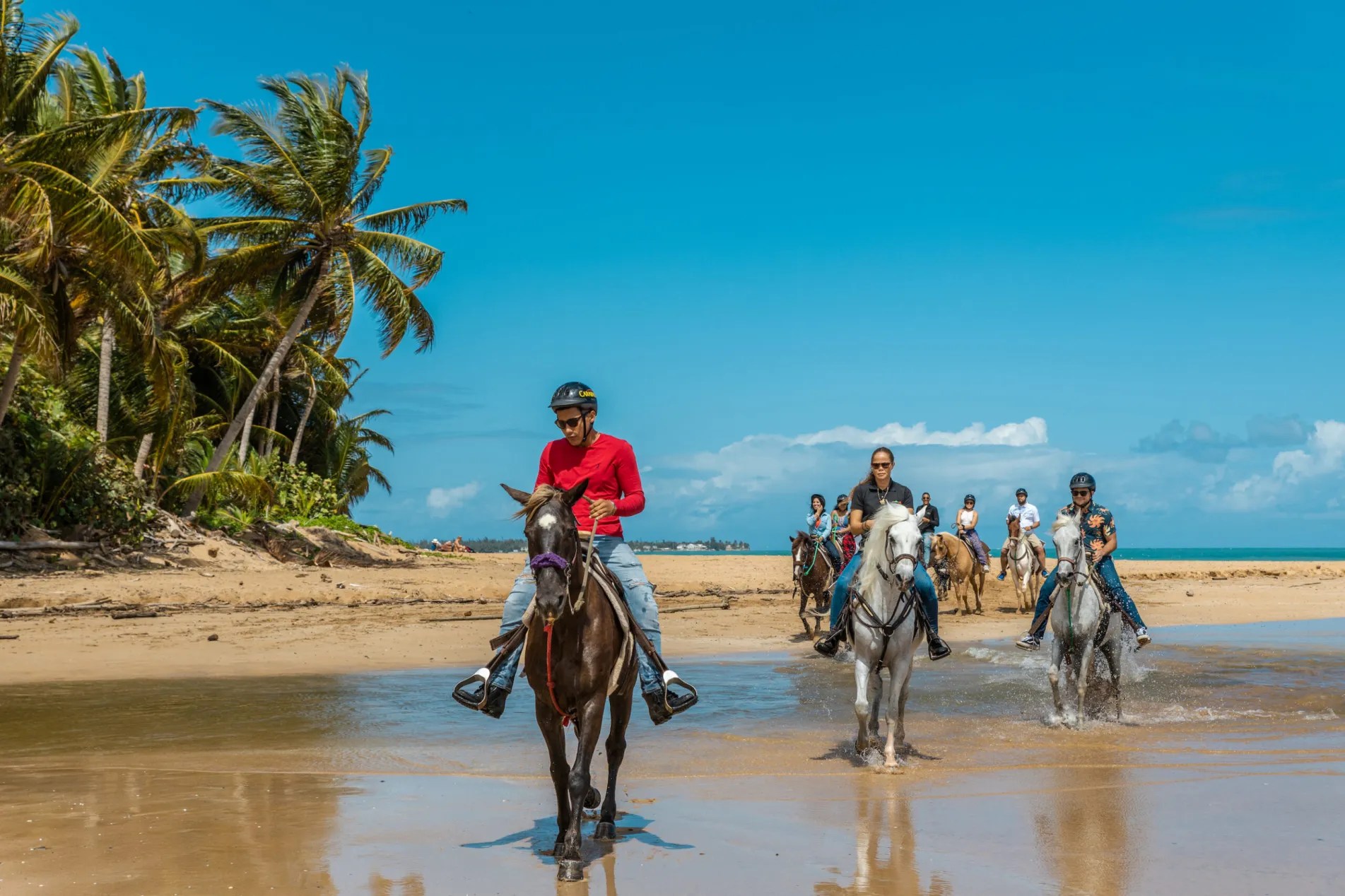 Group riding horses on a tropical beach under a blue sky.